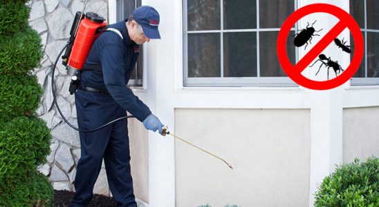 Ayvalık Böcek ve Haşere İlaçlama böcek ilaçlama ve haşere kontrolü — ilaclama-tr.com